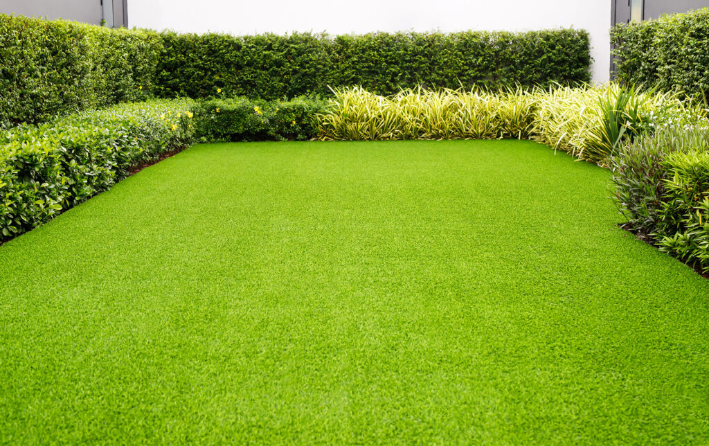 Get Your Lawn Ready for the New Year with Lawn Care & Weed Control in Dalton Ga