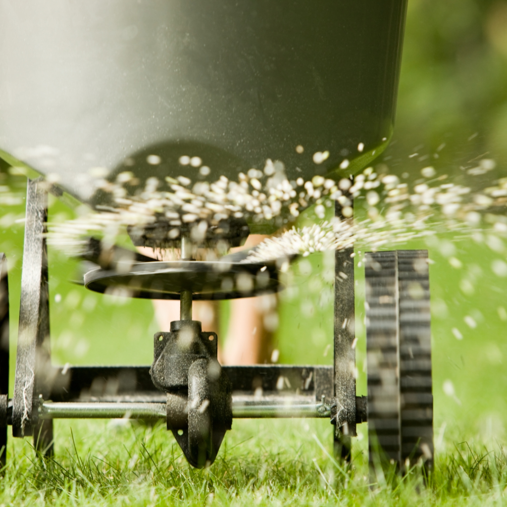 Lawn Care Dalton GA: Secrets to a Lush Green Yard!