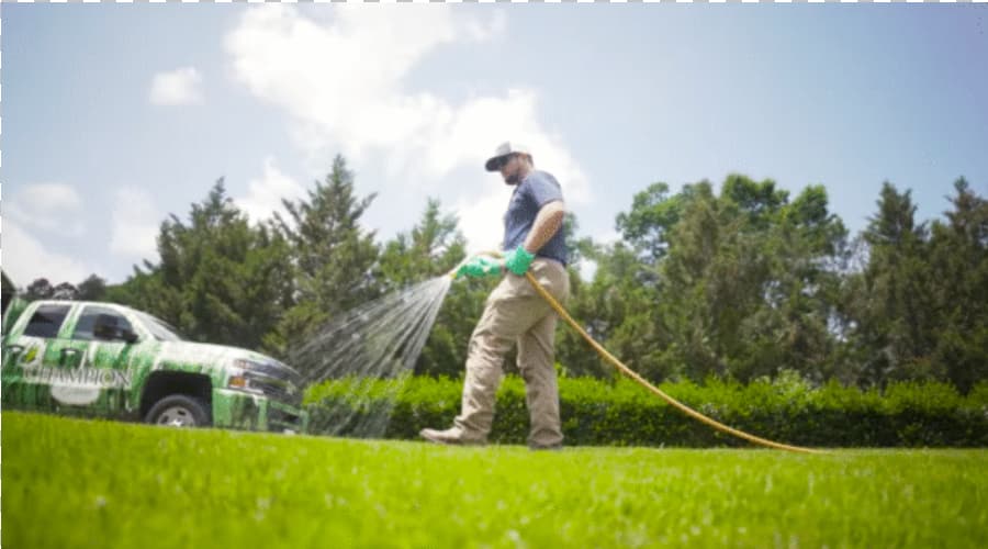 Essential Lawn Fungicide Treatment Tips for a Healthy Yard